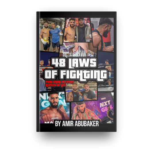 48 LAWS OF FIGHTING